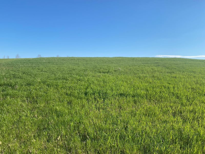 429 W Walnut Ave, Frazee, MN 56544