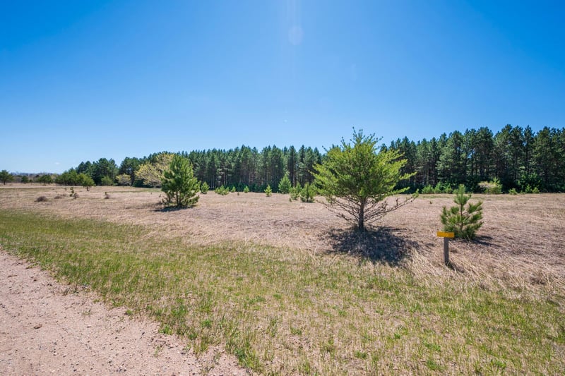 TBD Lot 3 Block 2 Deer Ln, Wadena, MN 56482