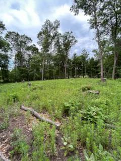 4188 161st Ln NE, Ham Lake, MN 55304