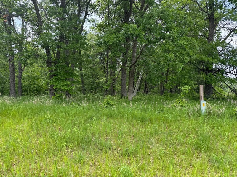 TBD Pawnee, Breezy Point, MN 56472