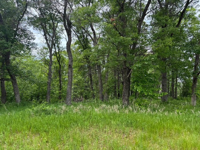 TBD Pawnee, Breezy Point, MN 56472