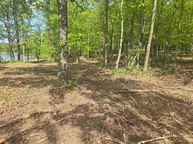 Lot 5 County Road 30, Crosby, MN 56441