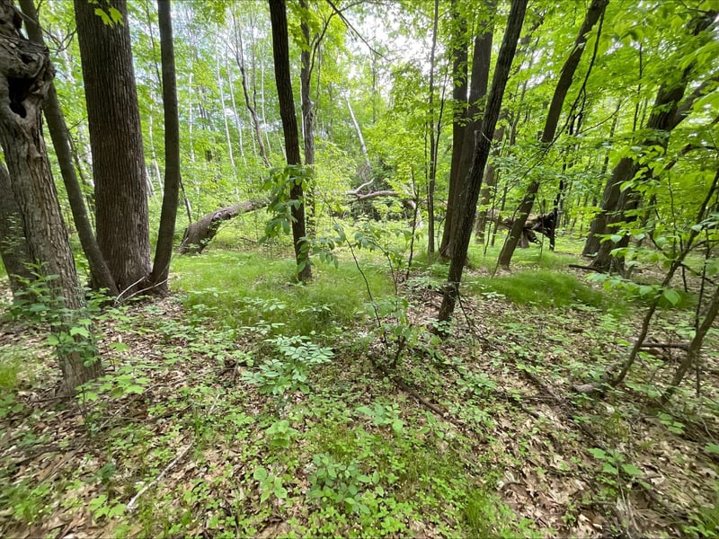 25945 Pine View Beach Trl, Brook Park, MN 55007
