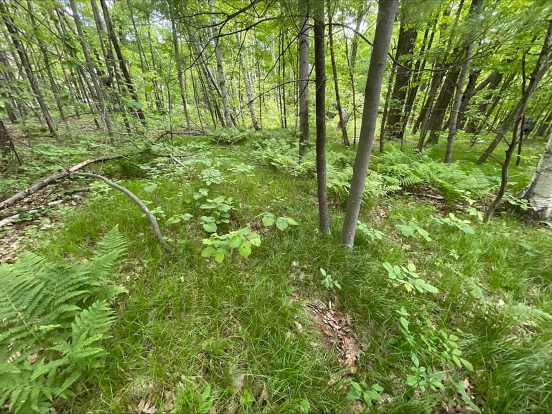 25945 Pine View Beach Trl, Brook Park, MN 55007