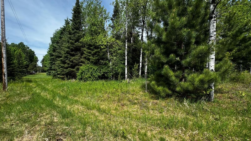 TBD-B Hwy 169, Virginia, MN 55792