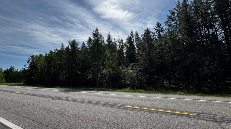 TBD-B Hwy 169, Virginia, MN 55792