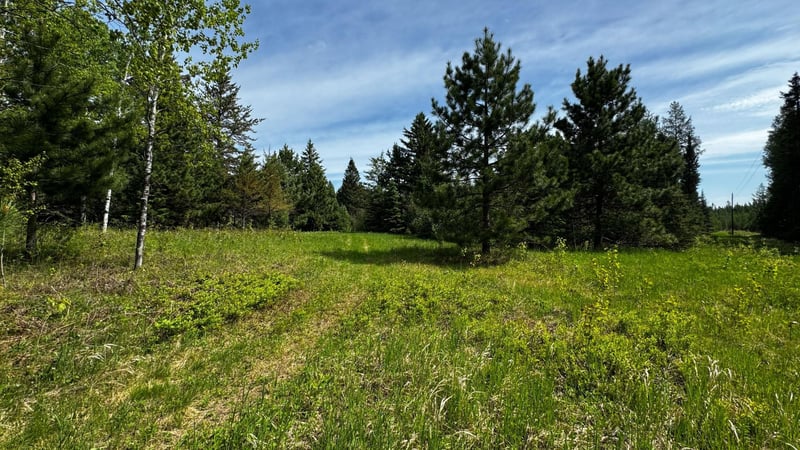 TBD-B Hwy 169, Virginia, MN 55792