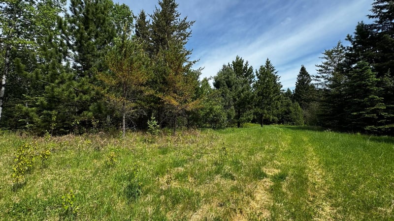 TBD-B Hwy 169, Virginia, MN 55792