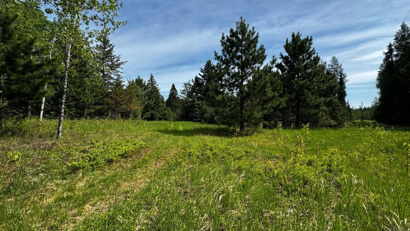 TBD-B Hwy 169, Virginia, MN 55792