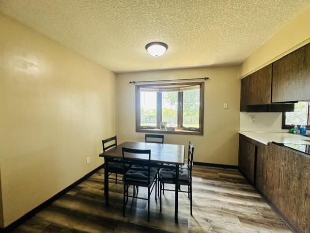 527 Oak Ave N, Maple Lake, MN 55358