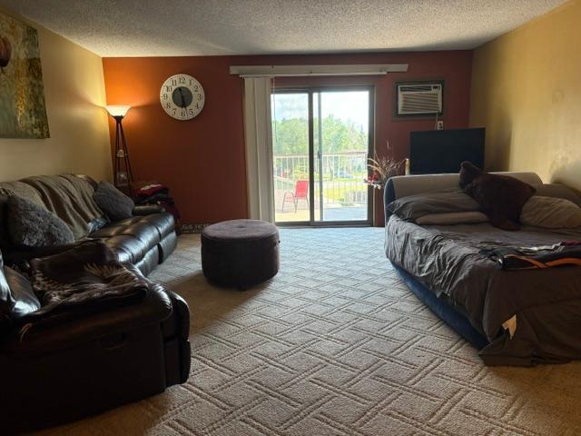 570 Whispering Ln #305, Hastings, MN 55033