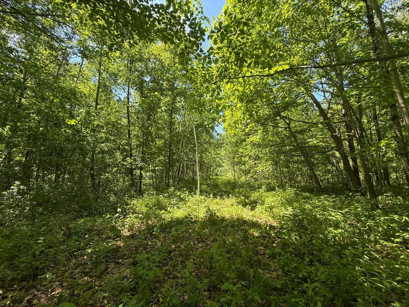 TBD Sandhill Crane Ln, Pine City, MN 55063