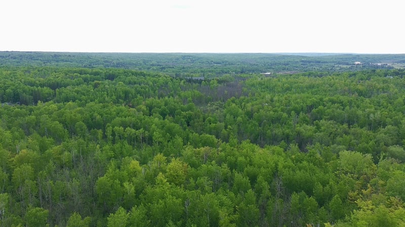 TBD Katherine, Duluth, MN 55803