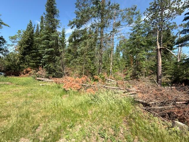51215 Wildwood Rd, Cass Lake, MN 56633