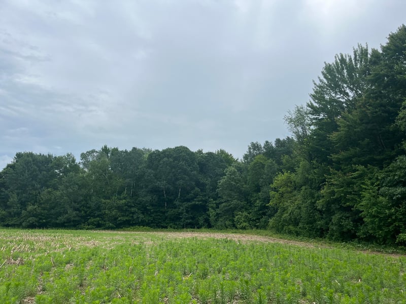 0 Hemingway Ave, North Branch, MN 55056