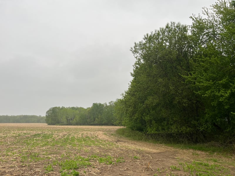 0 Hemingway Ave, North Branch, MN 55056