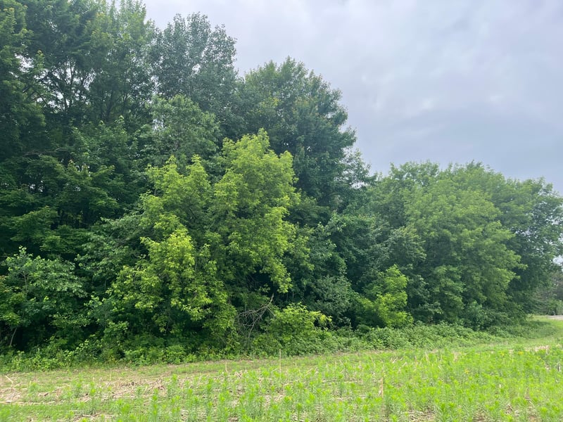 0 Hemingway Ave, North Branch, MN 55056