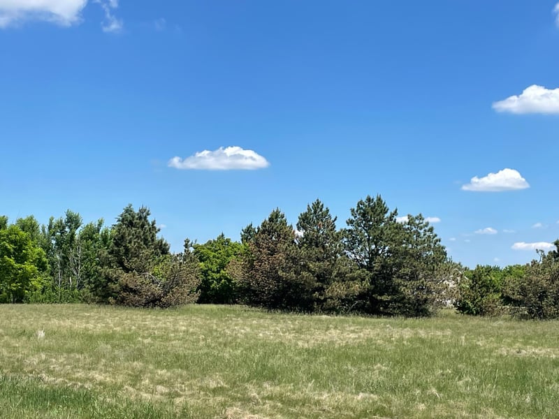 TBD Turtle Creek Cir, Cold Spring, MN 56320