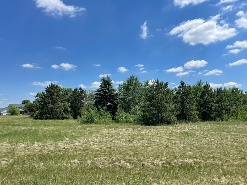 TBD Turtle Creek Cir, Cold Spring, MN 56320