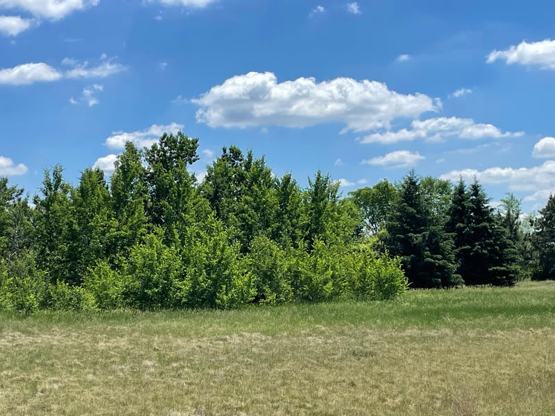 TBD Turtle Creek Cir, Cold Spring, MN 56320