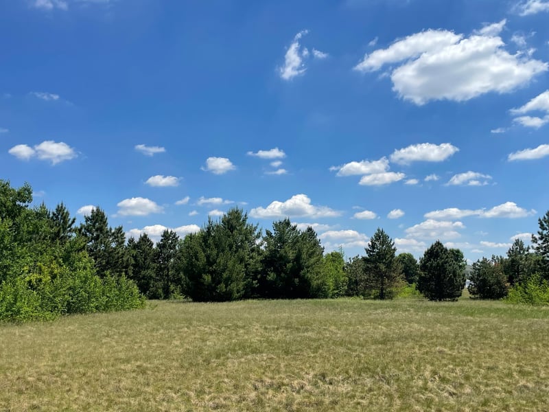TBD Turtle Creek Cir, Cold Spring, MN 56320