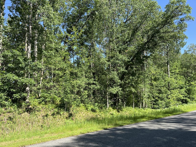 Lot 8 Terminal Rd, Breezy Point, MN 56472