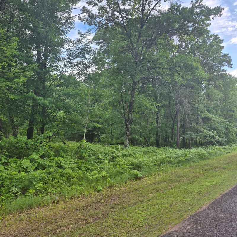 Lot 216 Deerpath Rd, Danbury, WI 54830