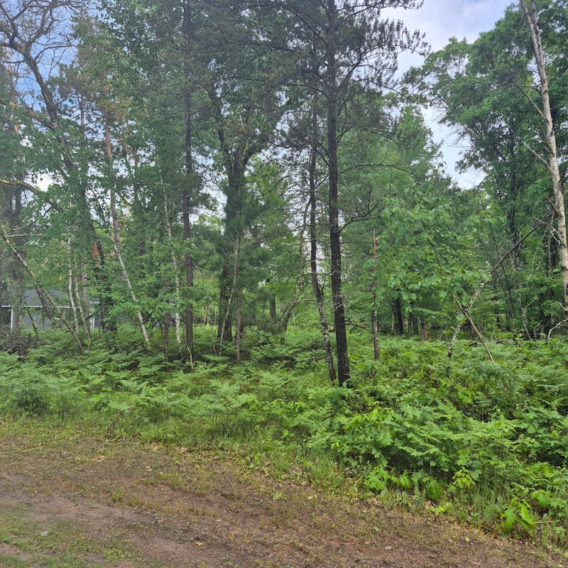 Lot 216 Deerpath Rd, Danbury, WI 54830
