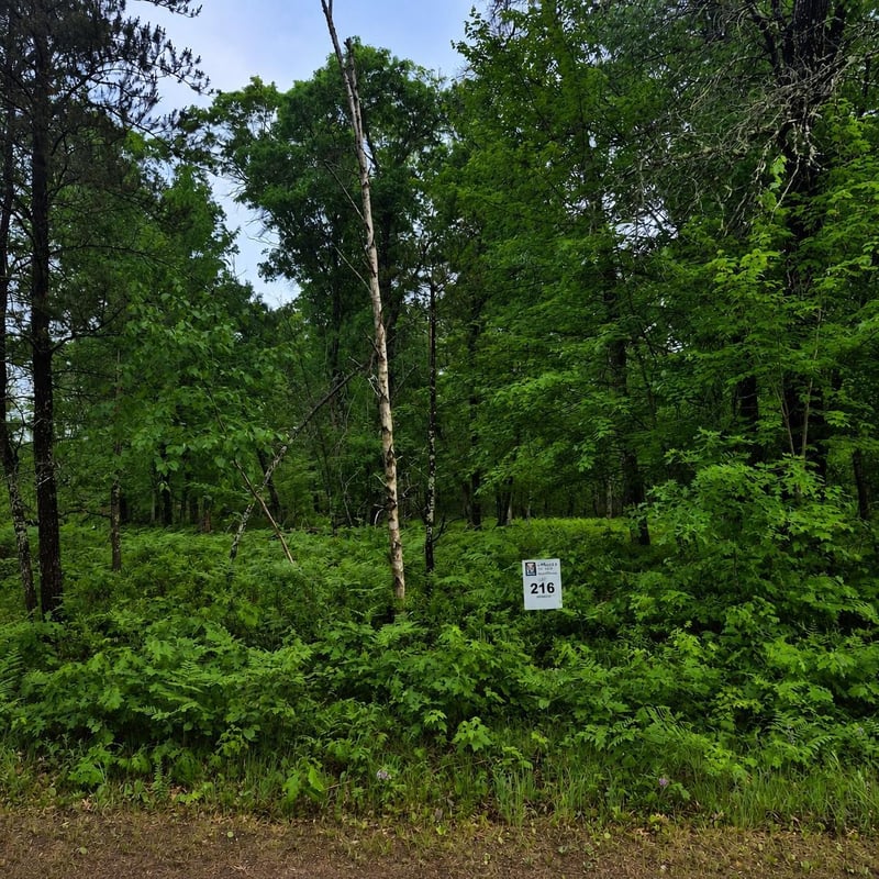 Lot 216 Deerpath Rd, Danbury, WI 54830