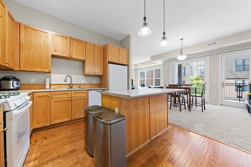 209 8th St E #305, Saint Paul, MN 55101