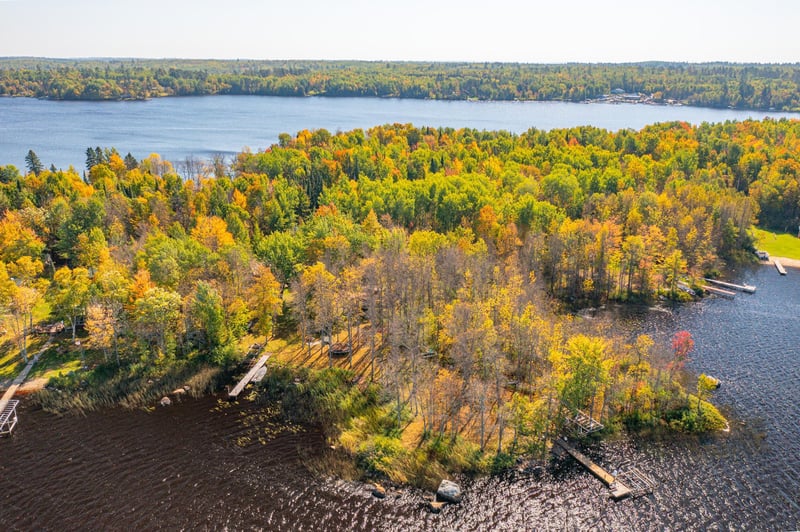 91009 Duffy Island, Tower, MN 55790