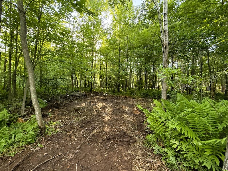 TBD Frontier Ln, Sturgeon Lake, MN 55783