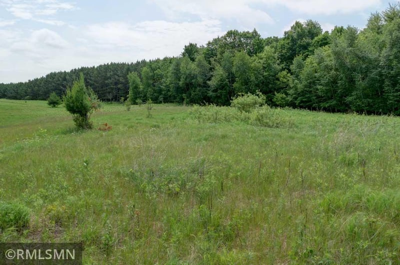 124XX N Gabrielson Lake Rd, Luck, WI 54853