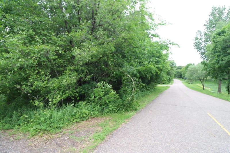 TBD Forest Hill Ln, Swanville, MN 56382