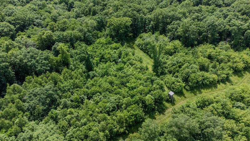 00 Dopp, Ettrick, WI 54627