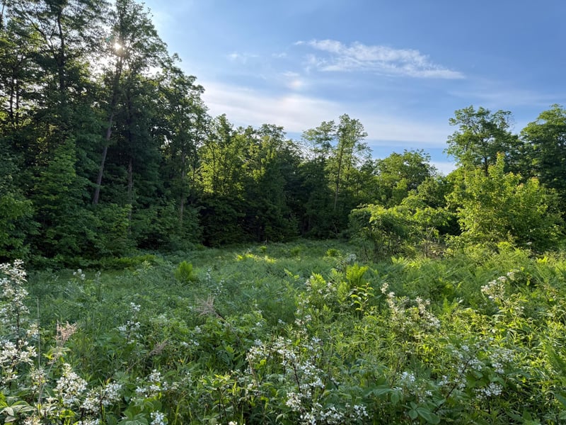 TBD Shady Ln, Trego, WI 54888