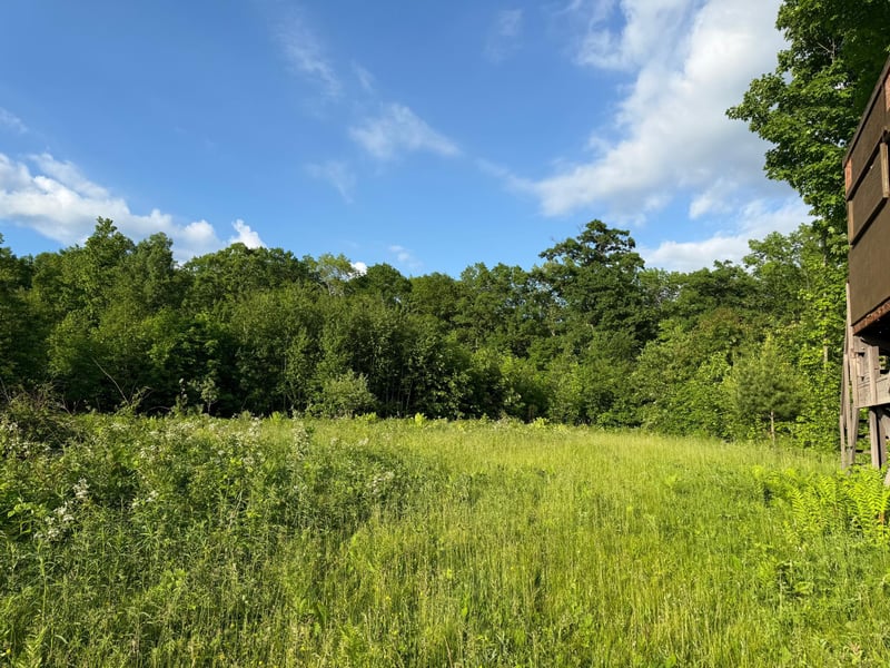 TBD Shady Ln, Trego, WI 54888