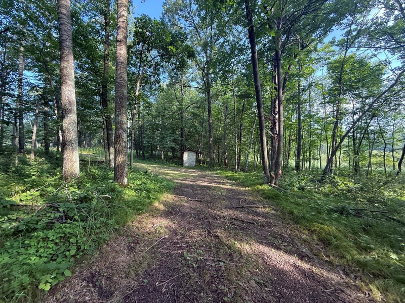 TBD Cr 109, Merrifield, MN 56465
