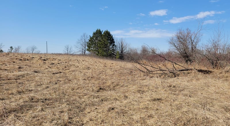 512xx Leaf River Road Tract A, Ottertail, MN 56571