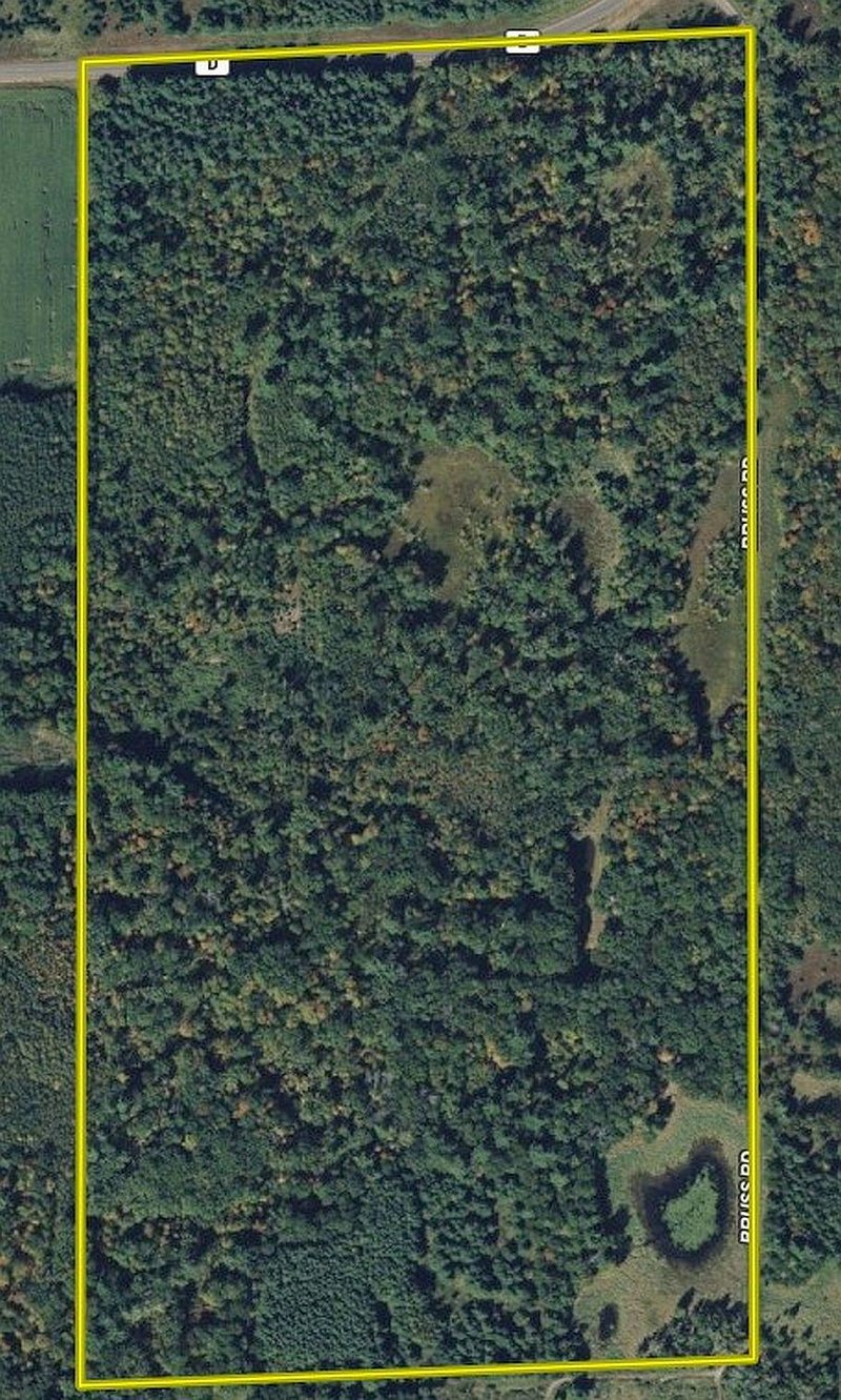 25275 Bruss Rd, Webster, WI 54893