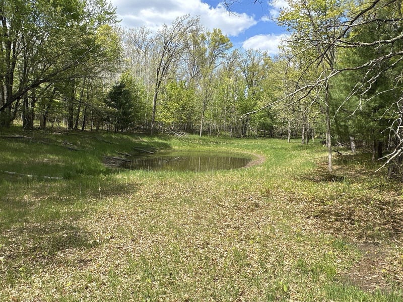 25275 Bruss Rd, Webster, WI 54893