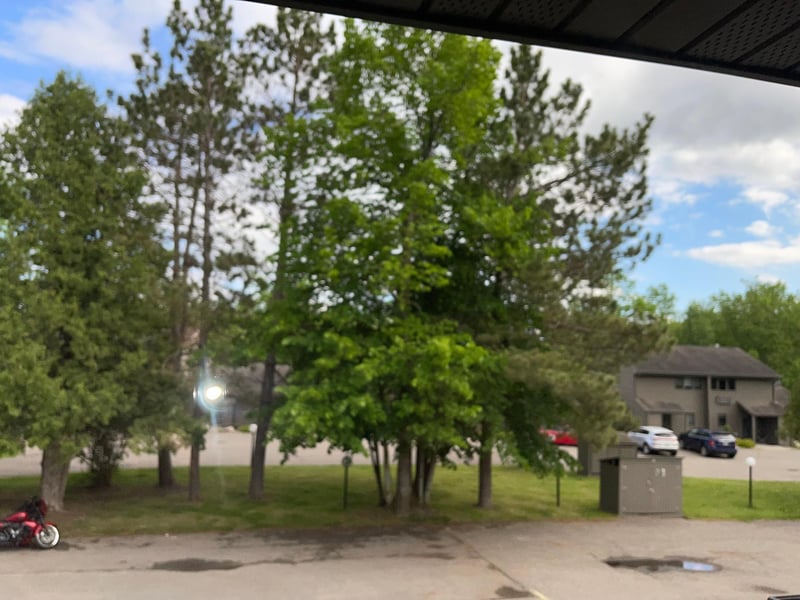354 Quadna Mountain Rd #354, Hill City, MN 55748