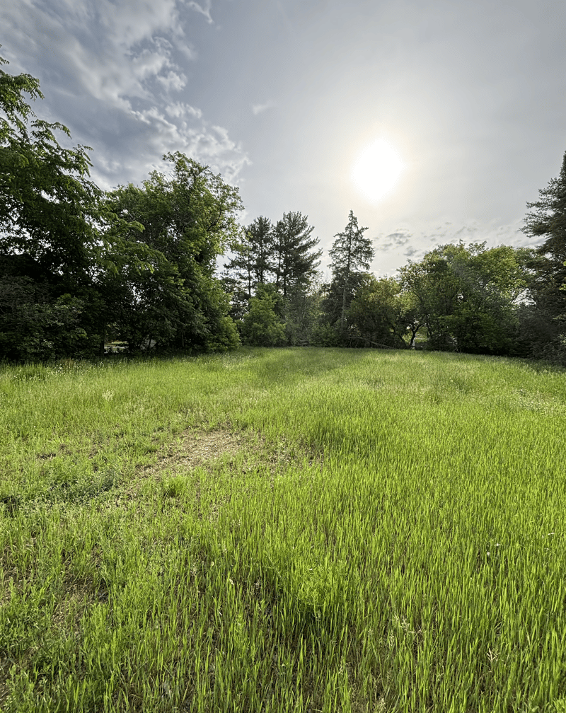524 2nd St N, Pine River, MN 56474
