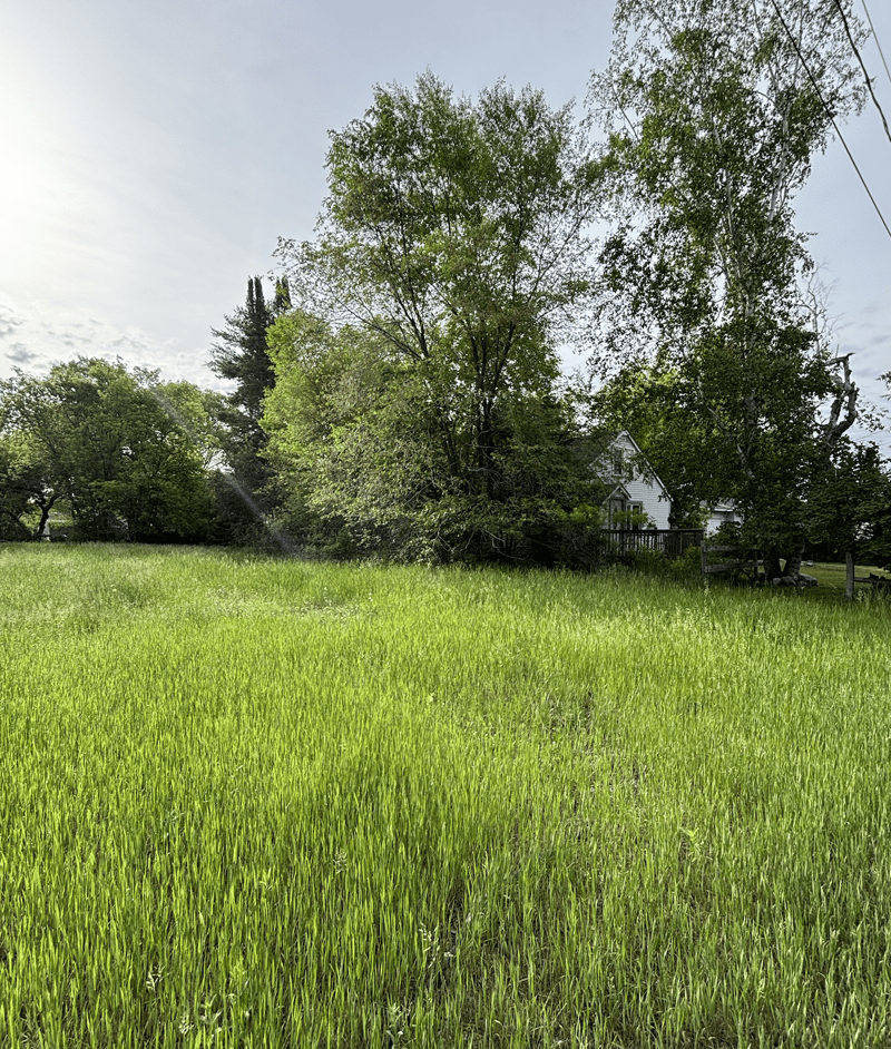 524 2nd St N, Pine River, MN 56474