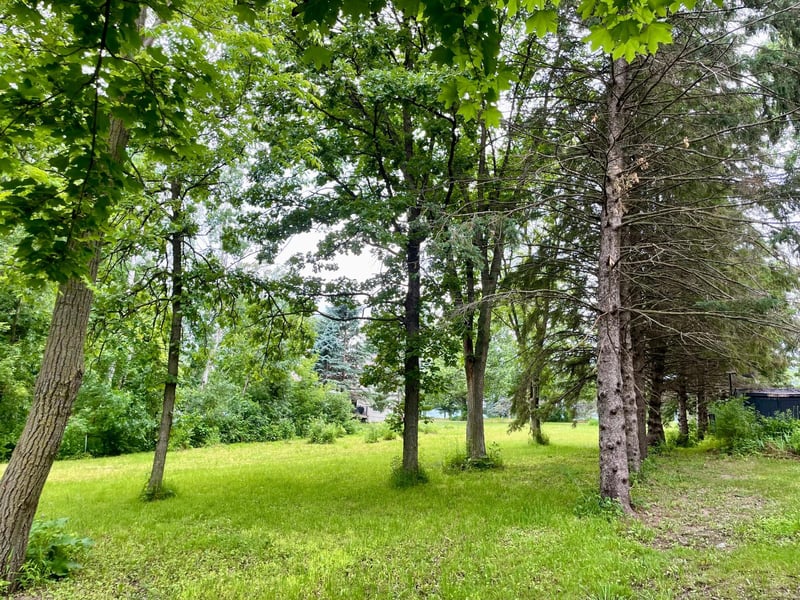 208 Skyline Dr, Wabasha, MN 55981