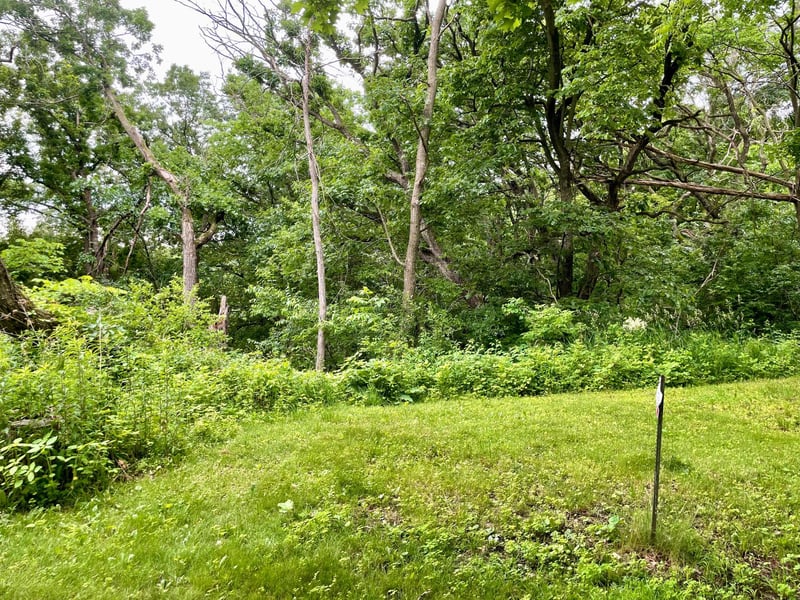 208 Skyline Dr, Wabasha, MN 55981