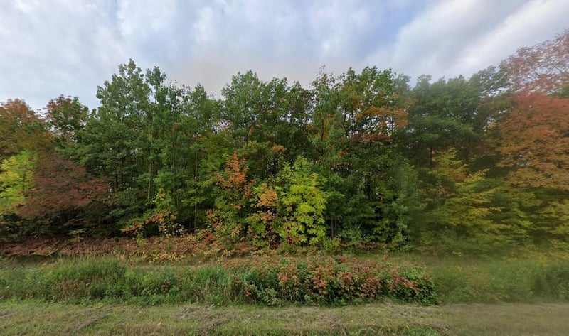 47238 Xavier Rd, Garrison, MN 56450