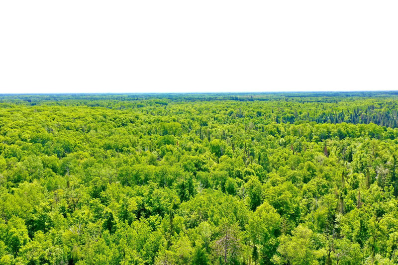 NA Burman Rd, Willow River, MN 55795