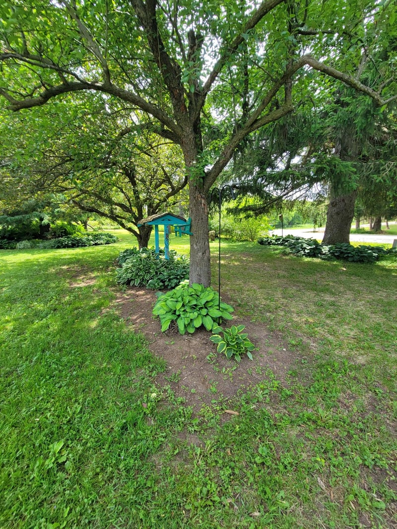 15190 240th St N, Scandia, MN 55073