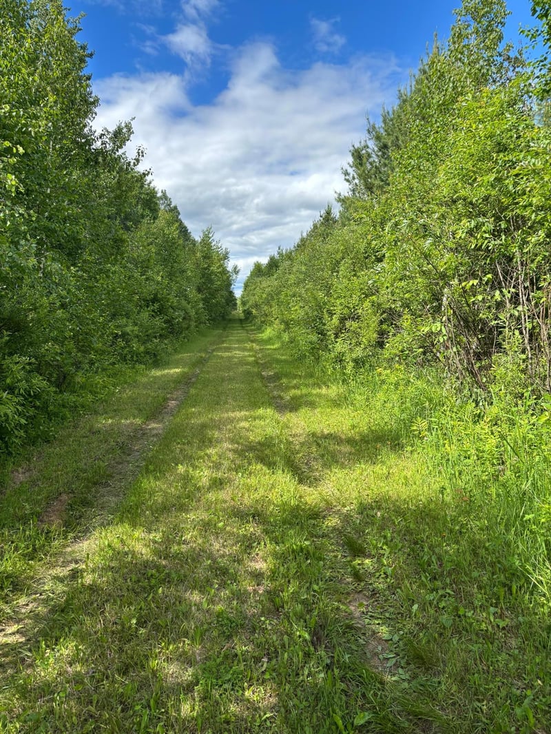 10750 Groningen Rd, Sandstone, MN 55072